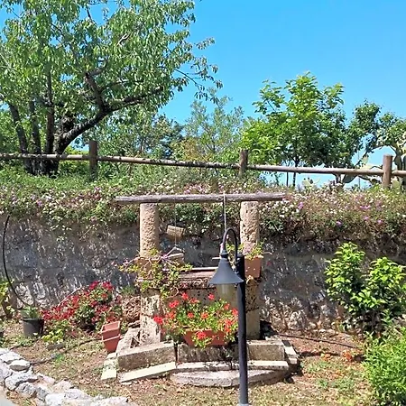 Korello Oda ve Kahvaltı