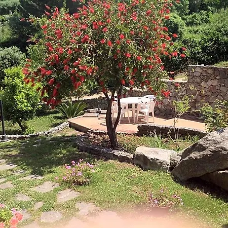 Oda ve Kahvaltı Korello