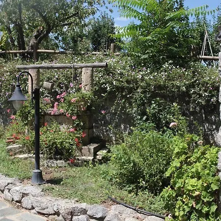 Korello 3* Gasponi